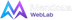 Mendoza Web Lab